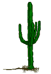 cactus2.gif (2734 bytes)