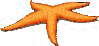 starfish.gif (3055 bytes)